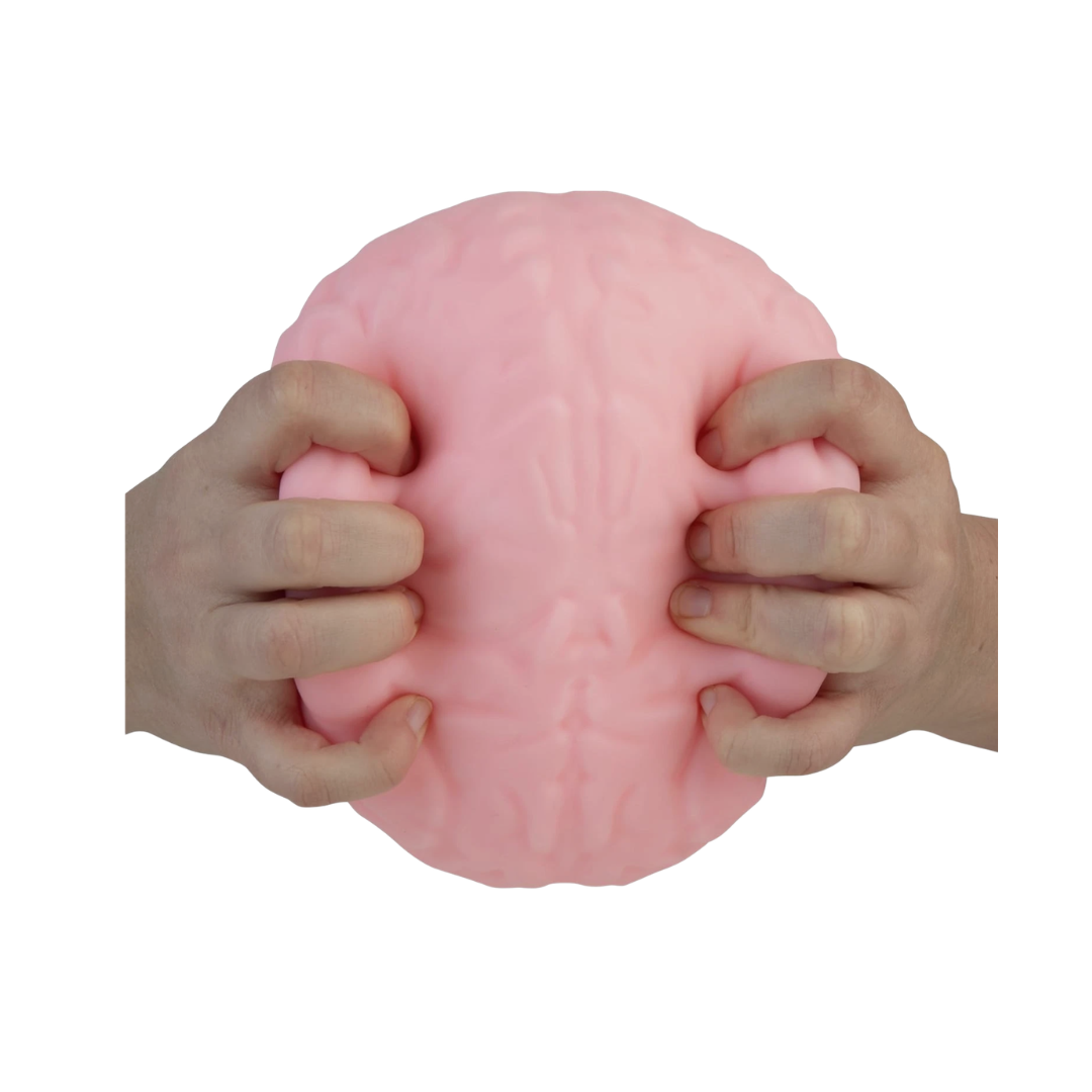 ORB SQUISHY CEREBO JUMBO