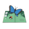 COMBEL LIBRO PIPA Y OTTO EN LA AMAZONIA